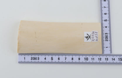 White mammoth ivory piece