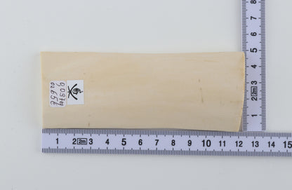 White mammoth ivory piece