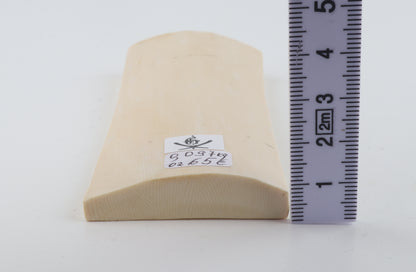 White mammoth ivory piece