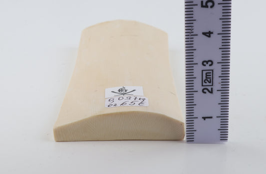 White mammoth ivory piece