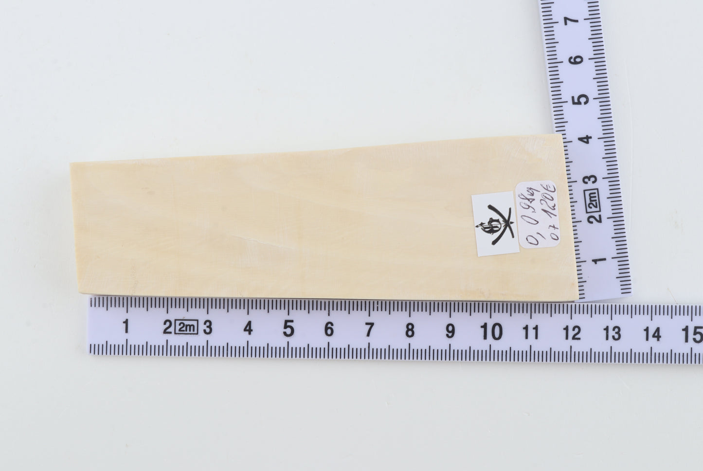 White mammoth ivory segment