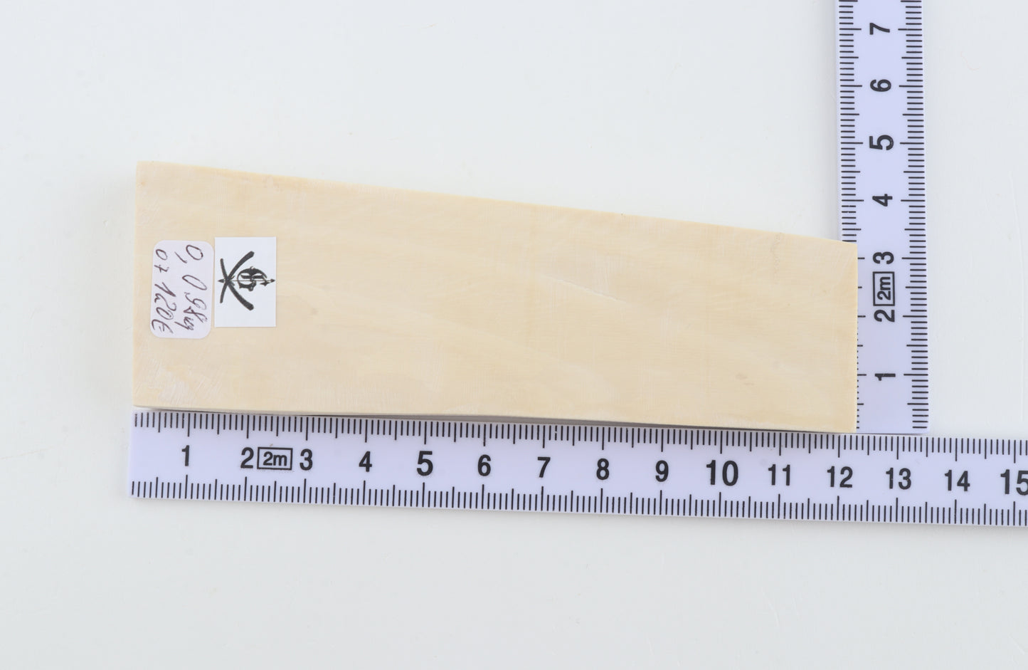 White mammoth ivory segment