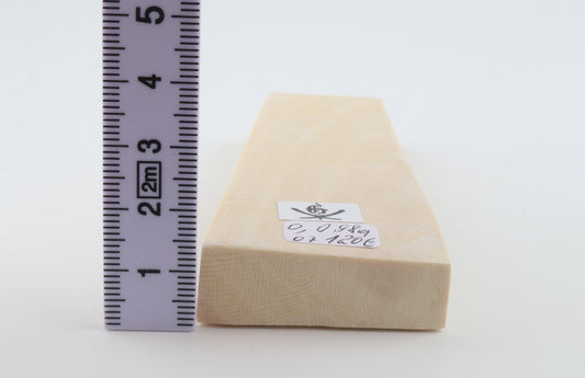 White mammoth ivory segment