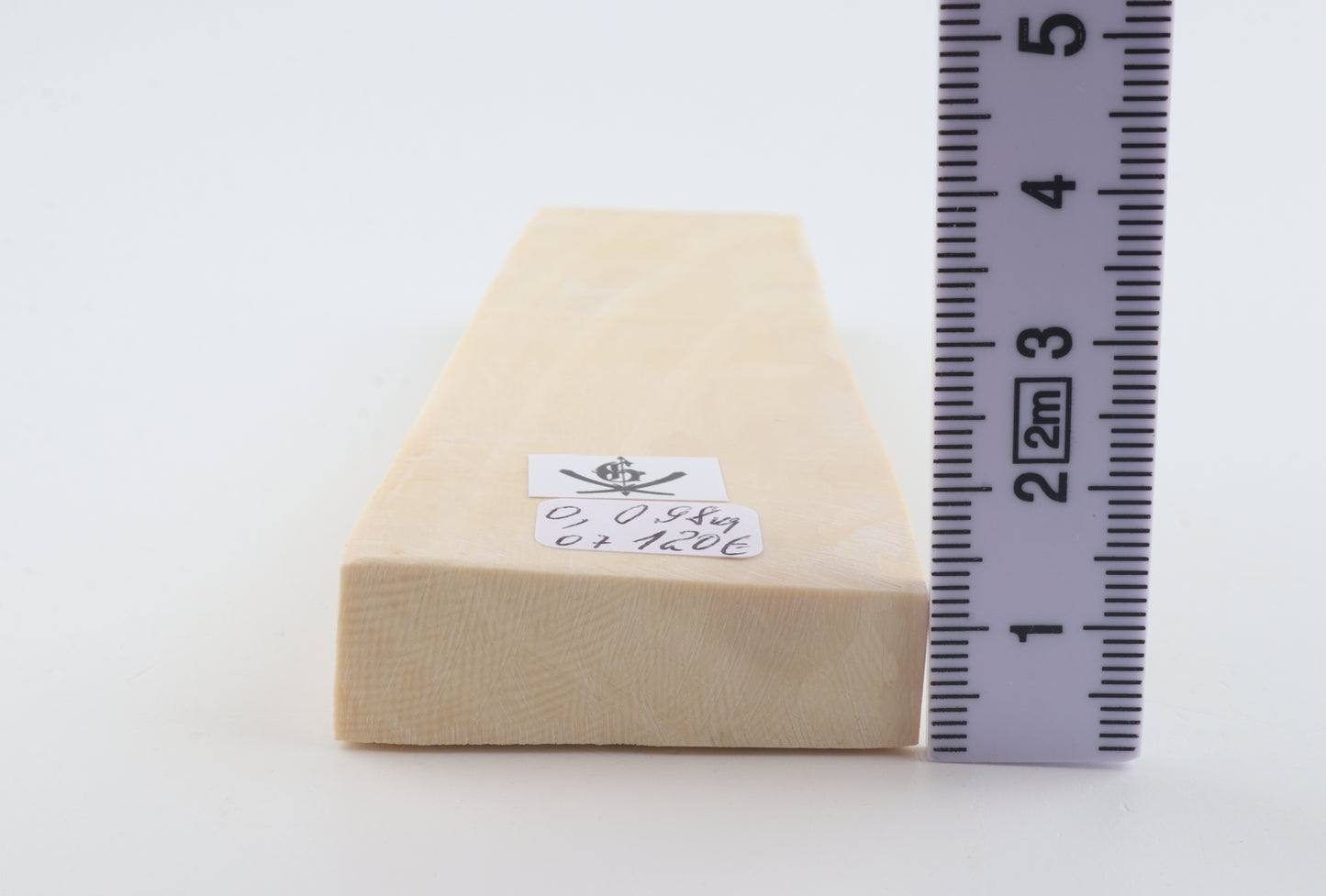 White mammoth ivory segment