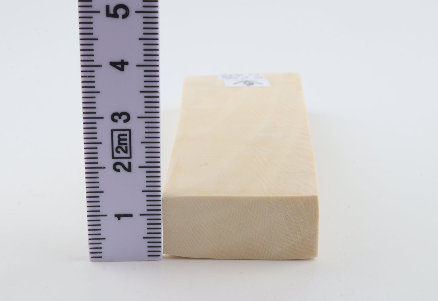 White mammoth ivory segment