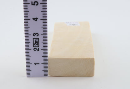 White mammoth ivory segment