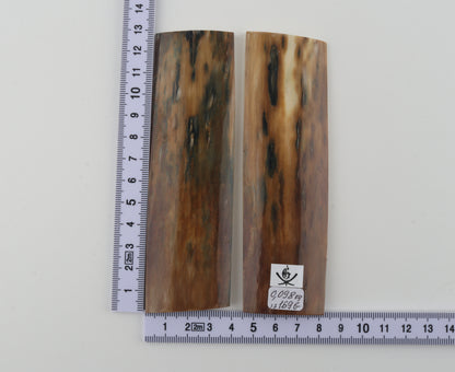 Natural mammoth bark scales