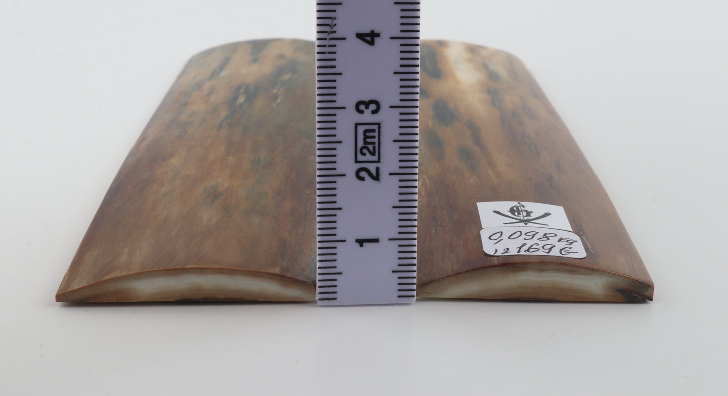 Natural mammoth bark scales