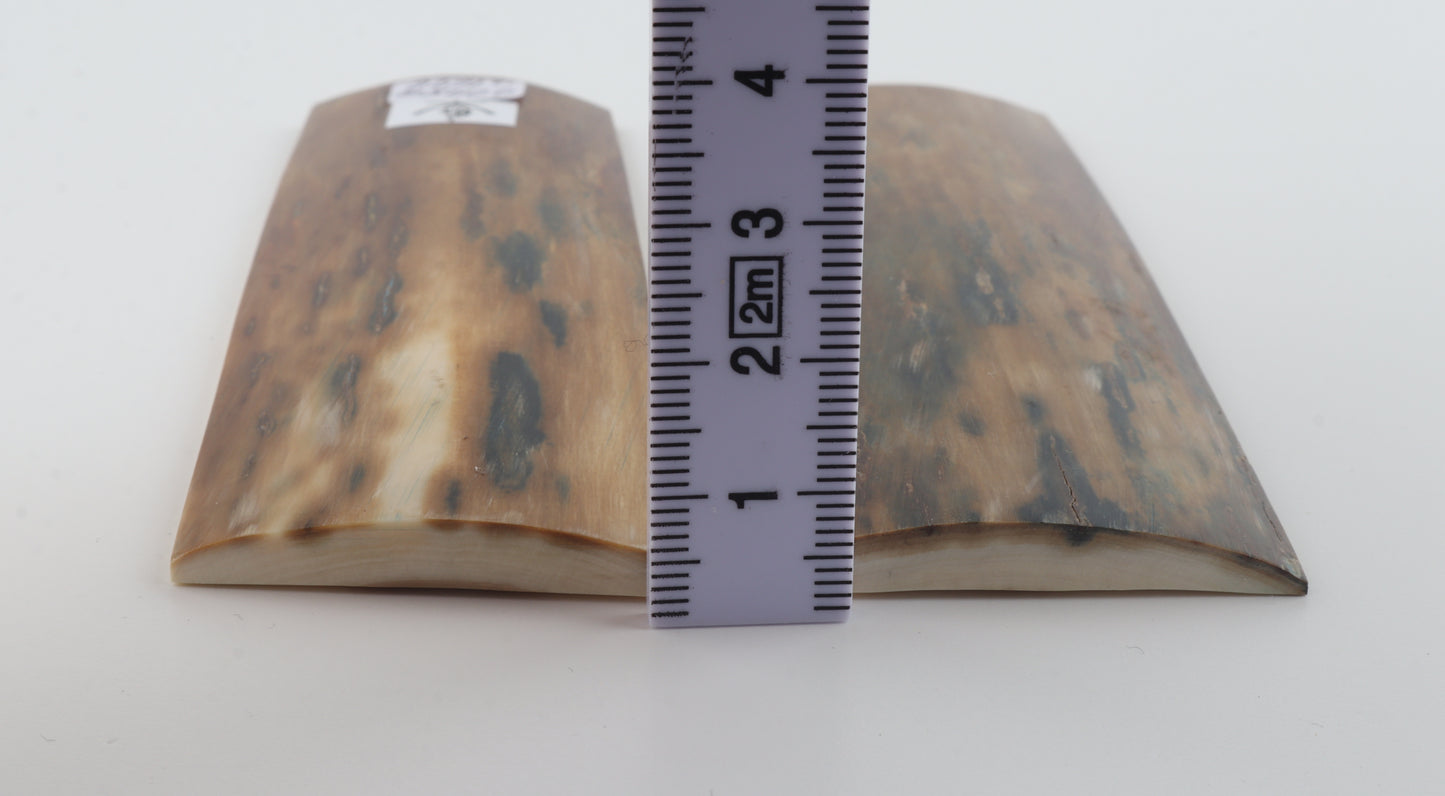 Natural mammoth bark scales