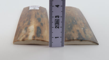 Natural mammoth bark scales