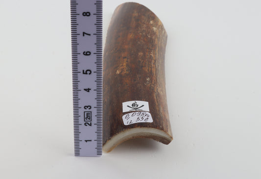 Brown-caramel mammoth bark