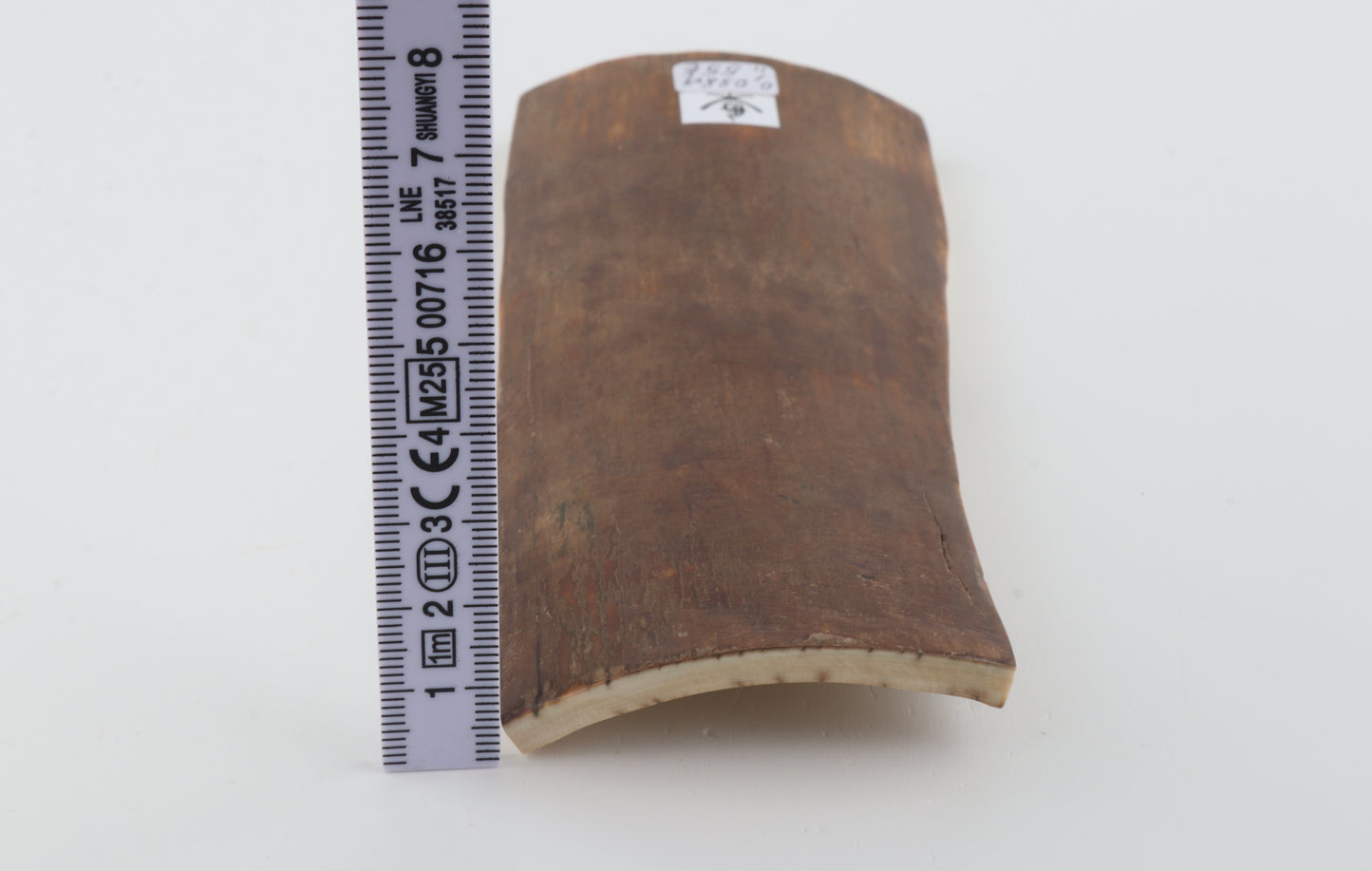 Caramel mammoth bark