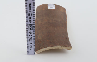 Caramel mammoth bark