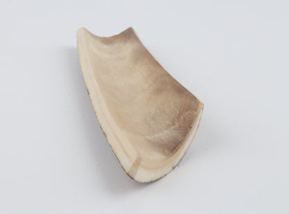 Brown-caramel mammoth bark