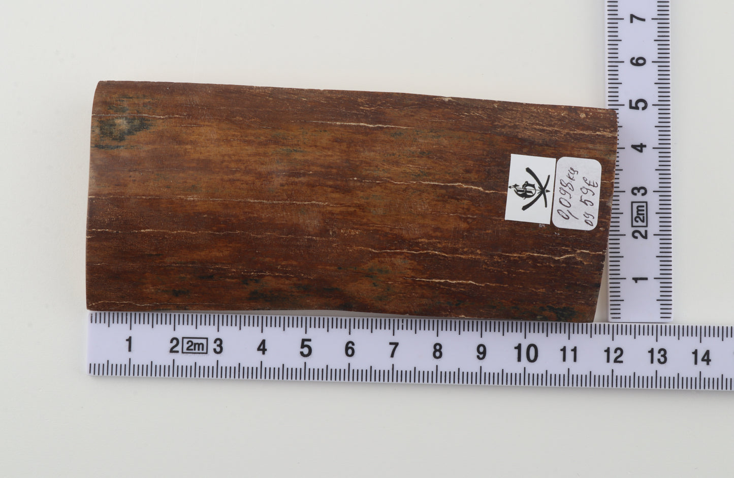 Red-brown mammoth bark