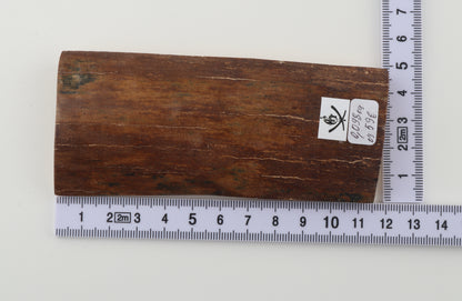 Red-brown mammoth bark