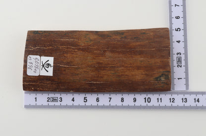 Red-brown mammoth bark