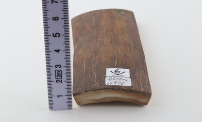 Red-brown mammoth bark