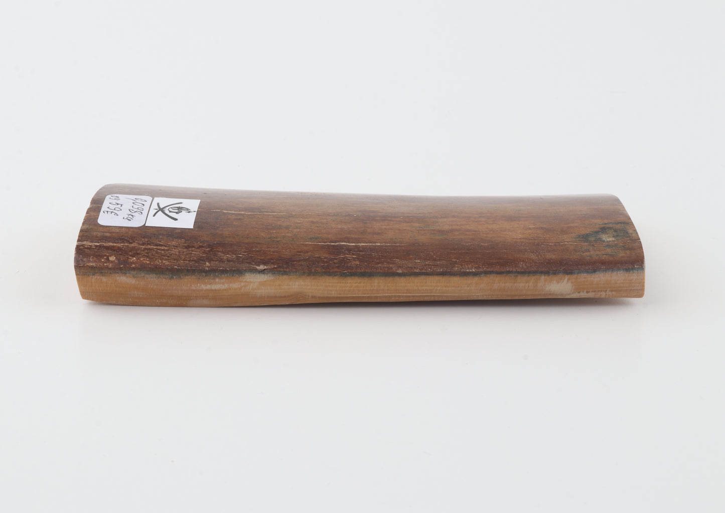 Red-brown mammoth bark