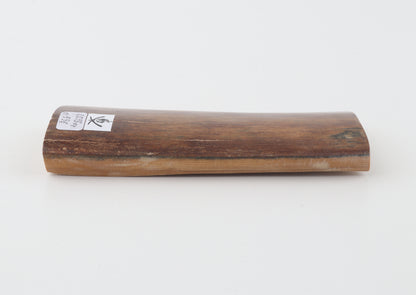 Red-brown mammoth bark