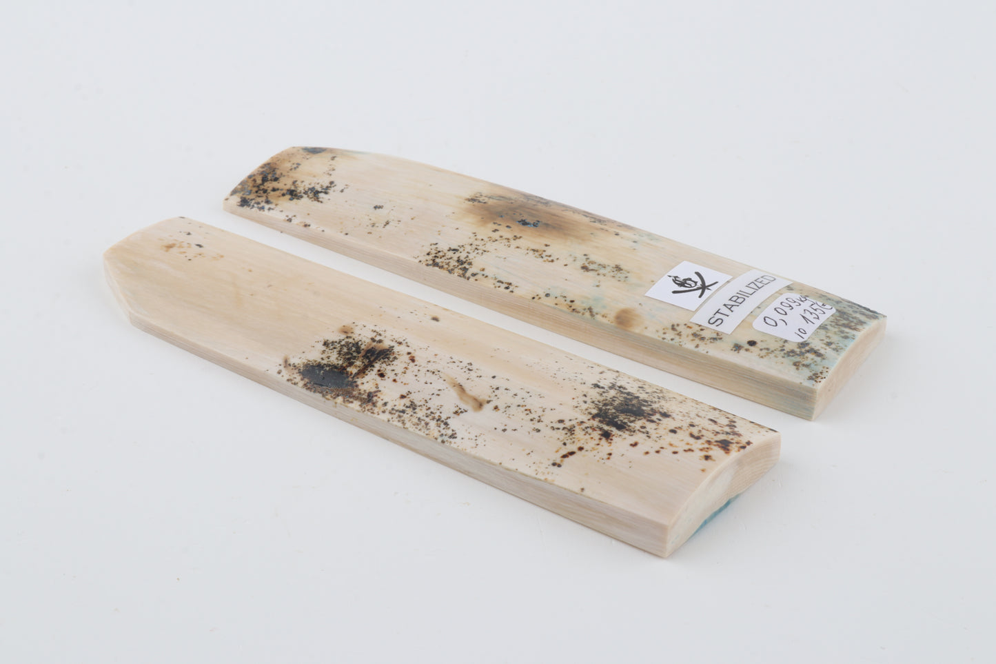 Stabilised mammoth bark scales