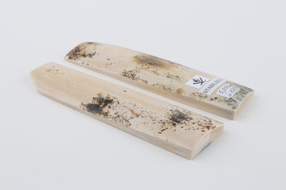 Stabilised mammoth bark scales