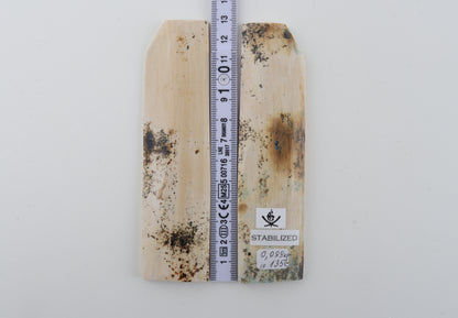 Stabilised mammoth bark scales