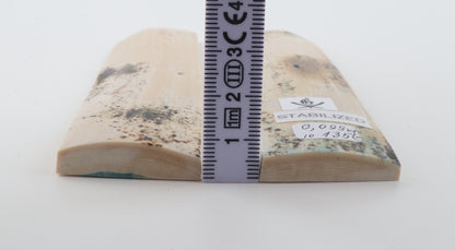 Stabilised mammoth bark scales