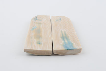 Stabilised mammoth bark scales