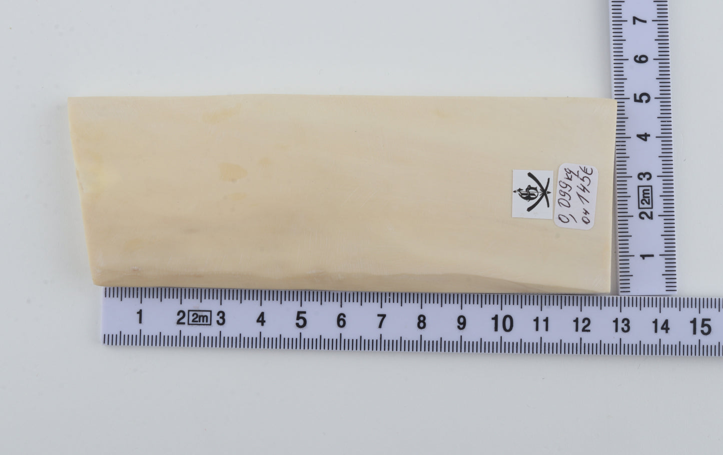 White mammoth ivory segment
