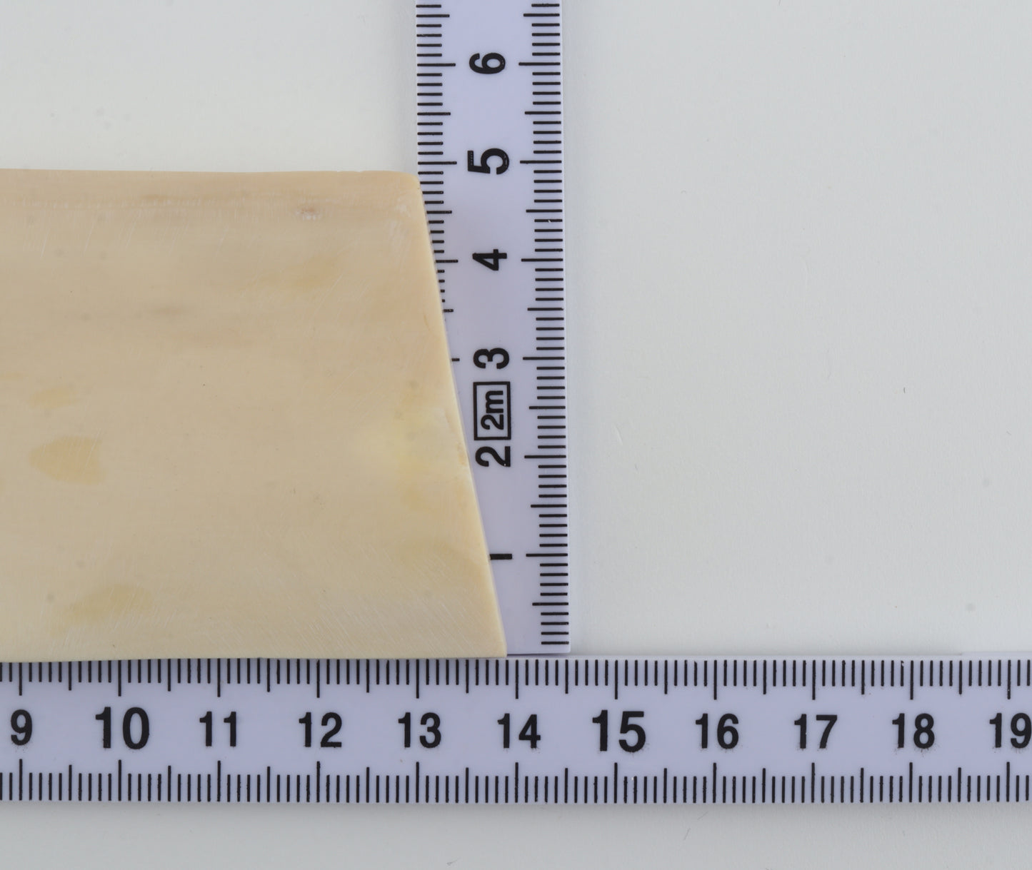 White mammoth ivory segment