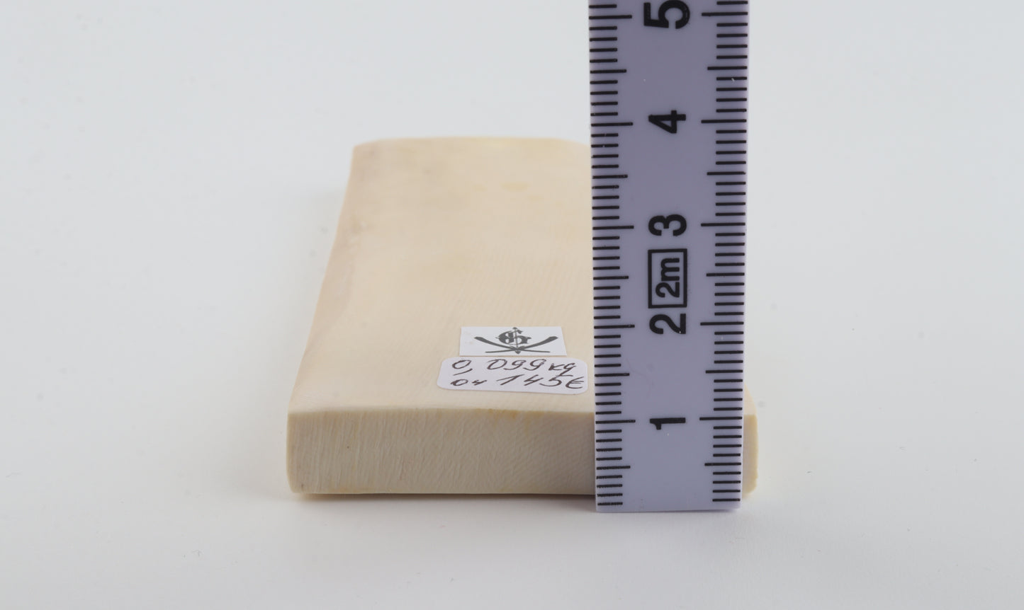 White mammoth ivory segment