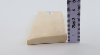 White mammoth ivory segment