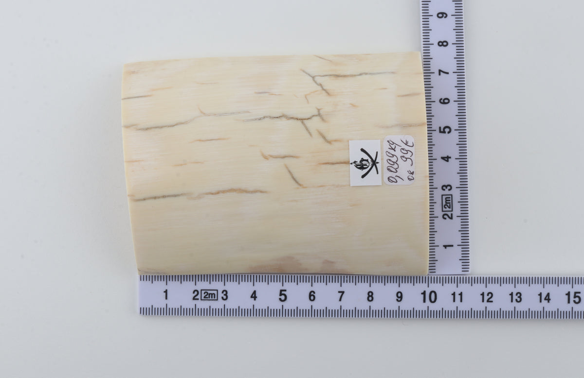 White mammoth ivory piece