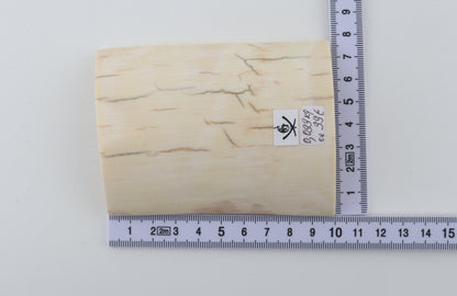 White mammoth ivory piece
