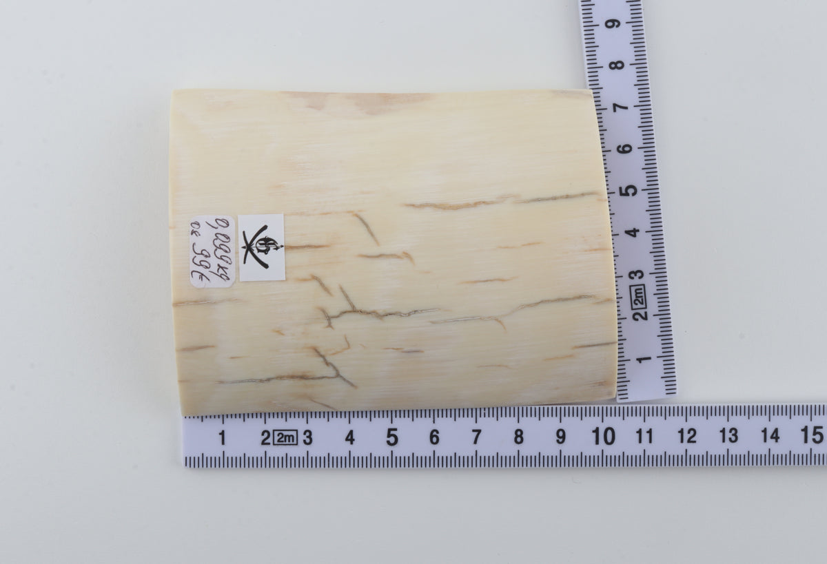 White mammoth ivory piece