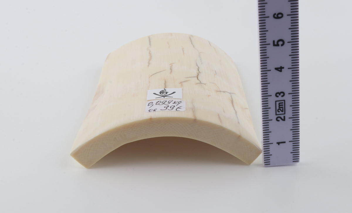 White mammoth ivory piece