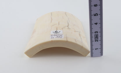 White mammoth ivory piece