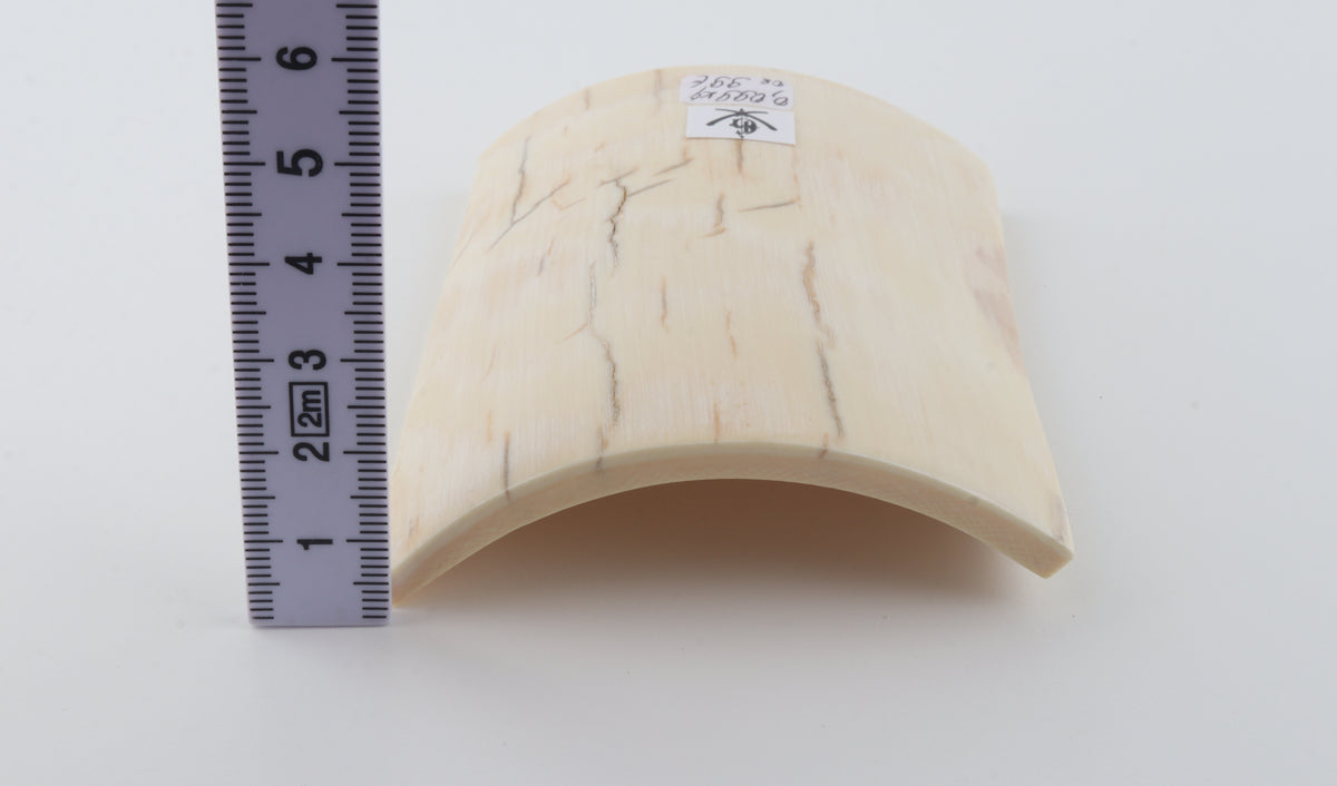 White mammoth ivory piece