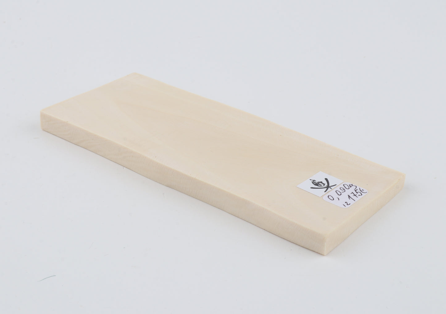 White mammoth ivory segment