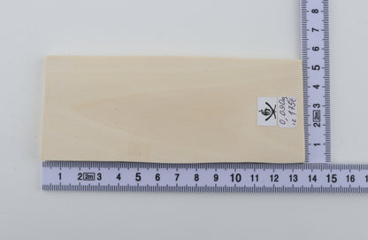 White mammoth ivory segment