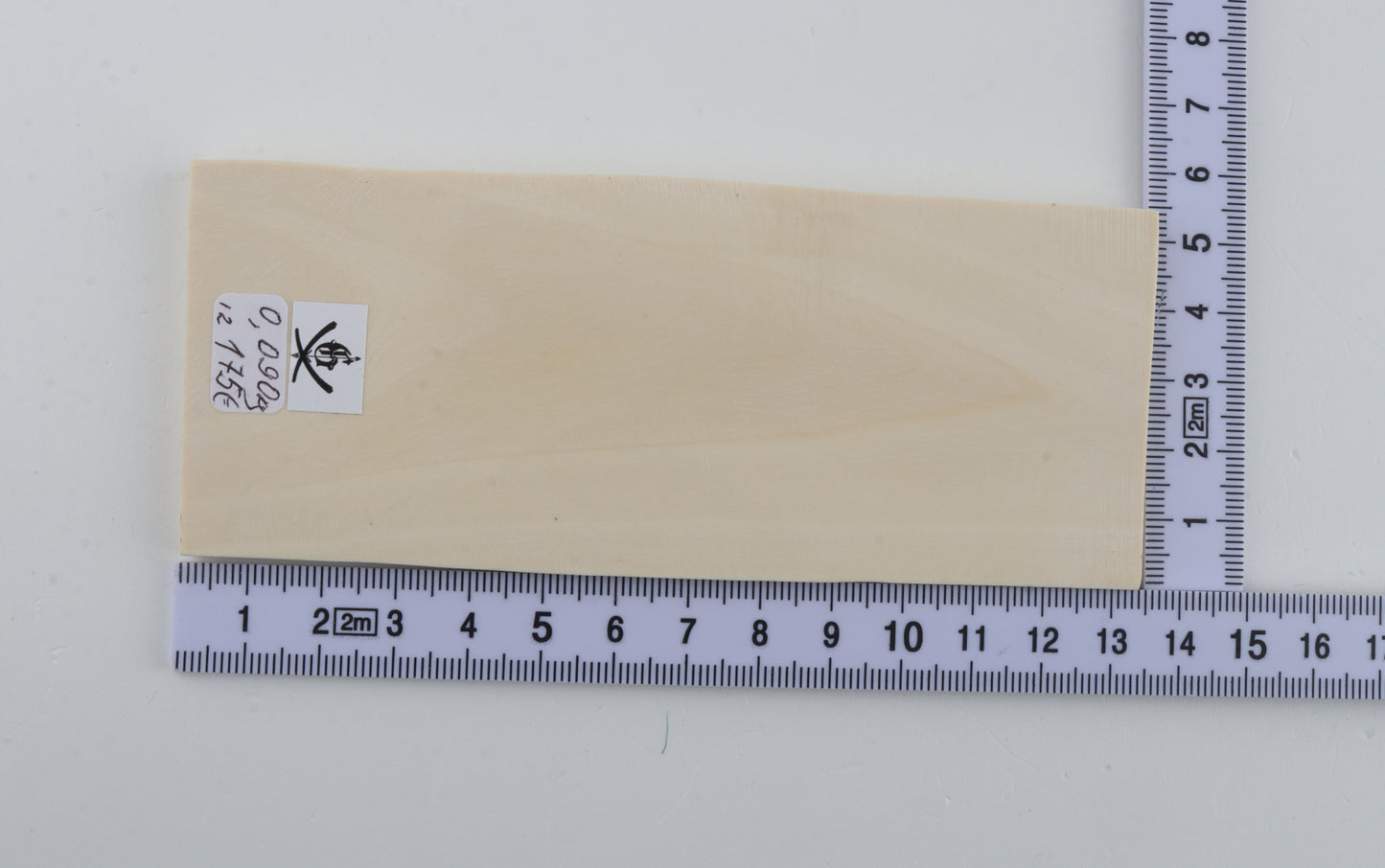 White mammoth ivory segment