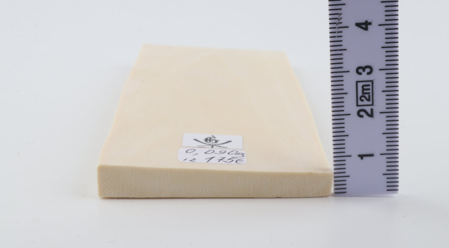 White mammoth ivory segment