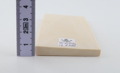 White mammoth ivory segment