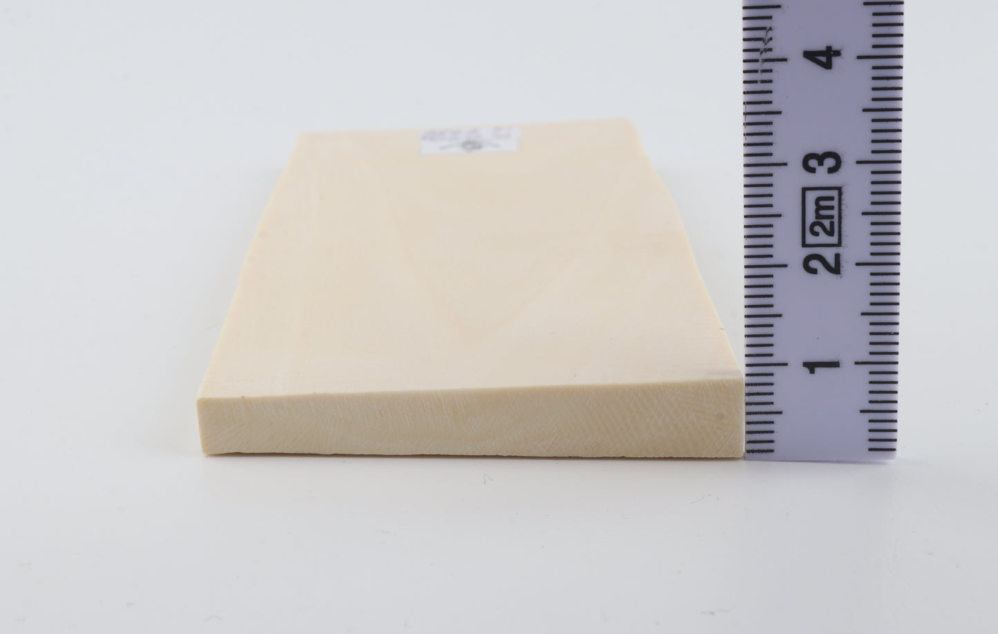 White mammoth ivory segment