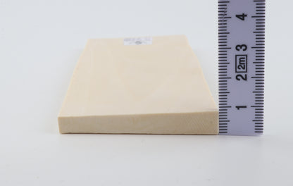 White mammoth ivory segment