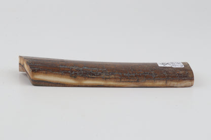 Brown-caramel mammoth bark