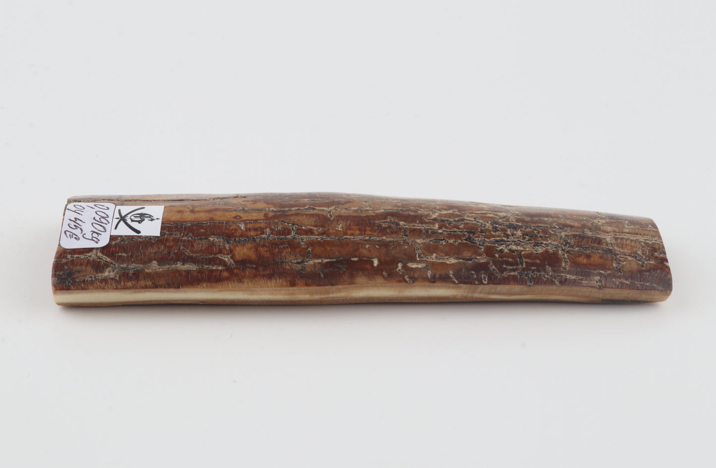 Brown mammoth bark