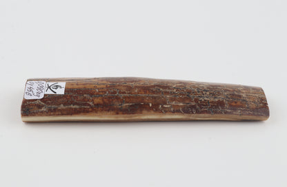 Brown mammoth bark
