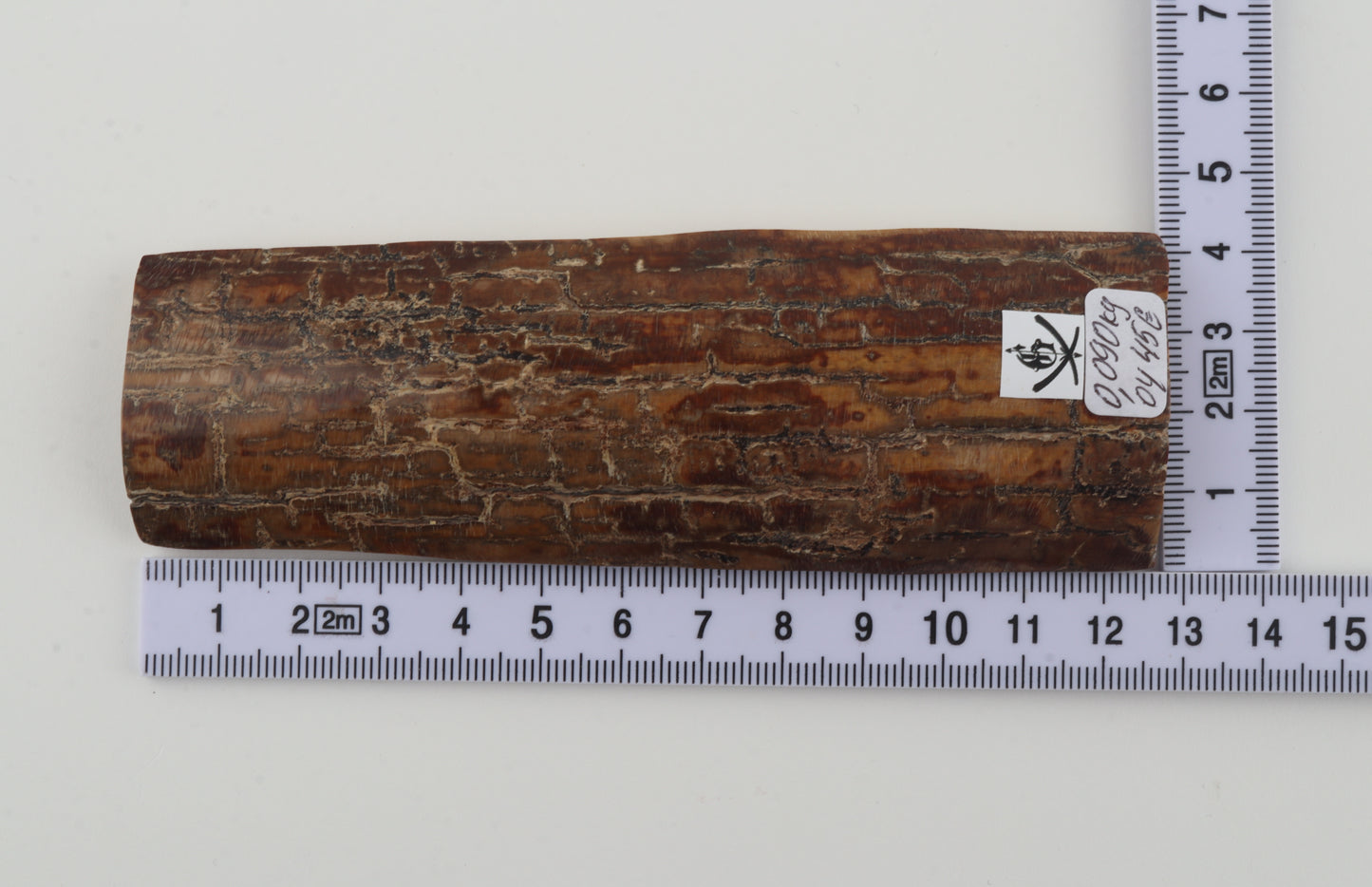 Brown mammoth bark